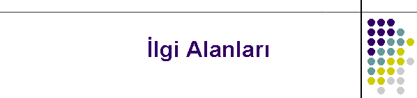 �lgi Alanlar�